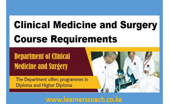 Clinical Medicine and Surgery (BSC/DCM):